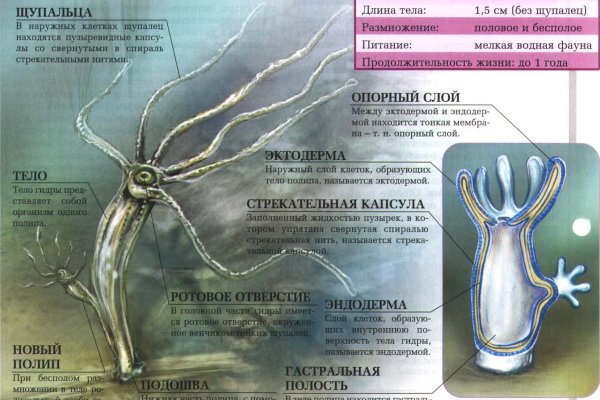 Кракен тор store