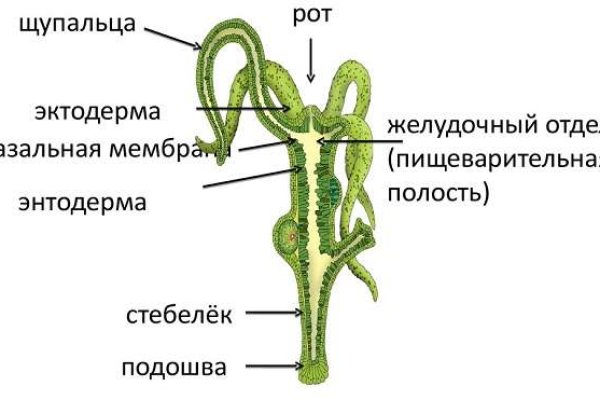 Kraken ссылка зеркало рабочее