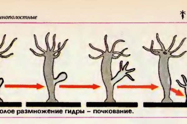 Кракен маркетплейс официальный сайт