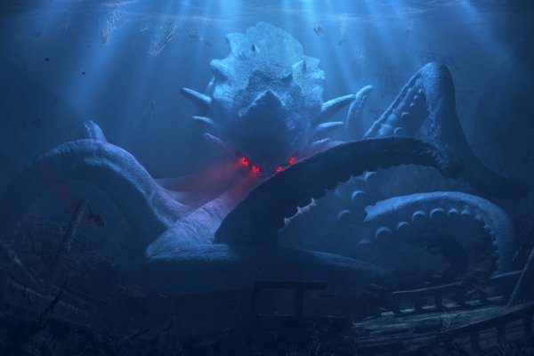 Kraken 20at