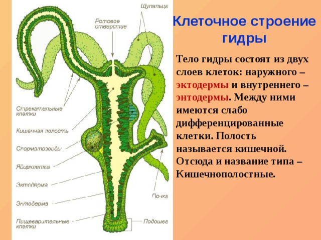 Почему кракен перестал работать